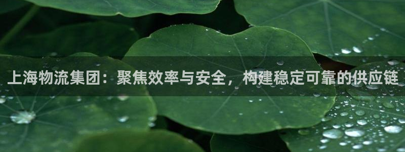 28圈.ccmpc是诈骗吗?